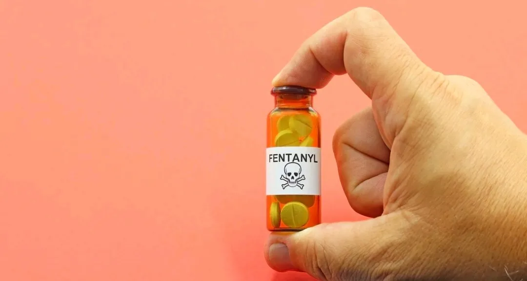 फेंटानाइल तस्करी पर सख्ती: अमेरिकी दूतावास ने भारतीय कॉरपोरेट नेताओं के वीज़ा रद्द किए